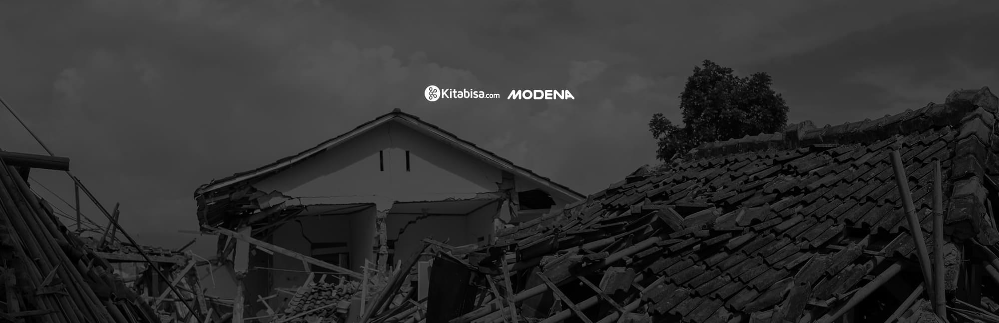 News 28 November 2022